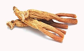 Korean Red Ginseng