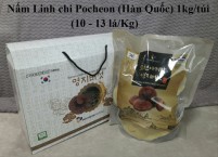 Nấm Linh chi Pocheon Hàn Quốc 10-13 lá/Kg