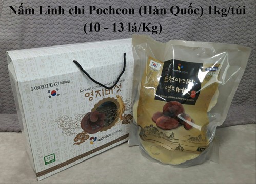 Nấm Linh chi Pocheon Hàn Quốc 10-13 lá/Kg