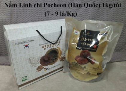 Nấm Linh chi Pocheon Hàn Quốc 7-9 lá/Kg